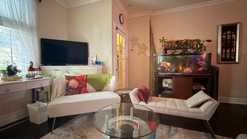 livingRoom Modern Living Space